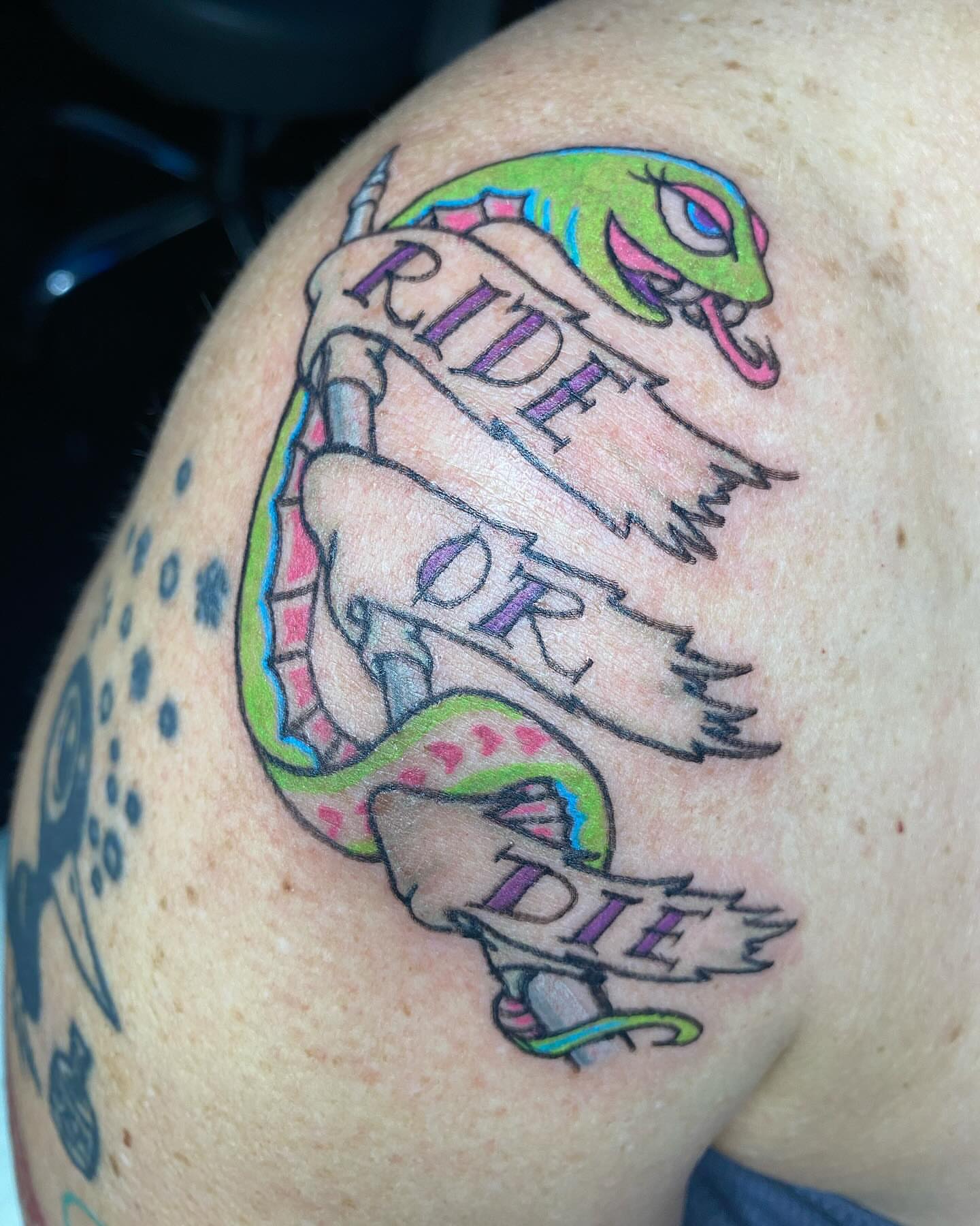 Snake and skull American traditional tattoo on the shoulder by Tesla Kohl