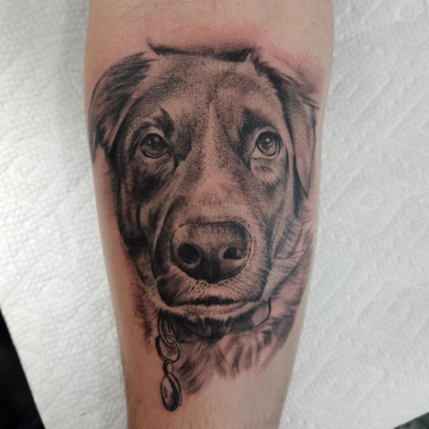 Dog realism tattoo on the forearm by David Nash, Evansville, Indiana