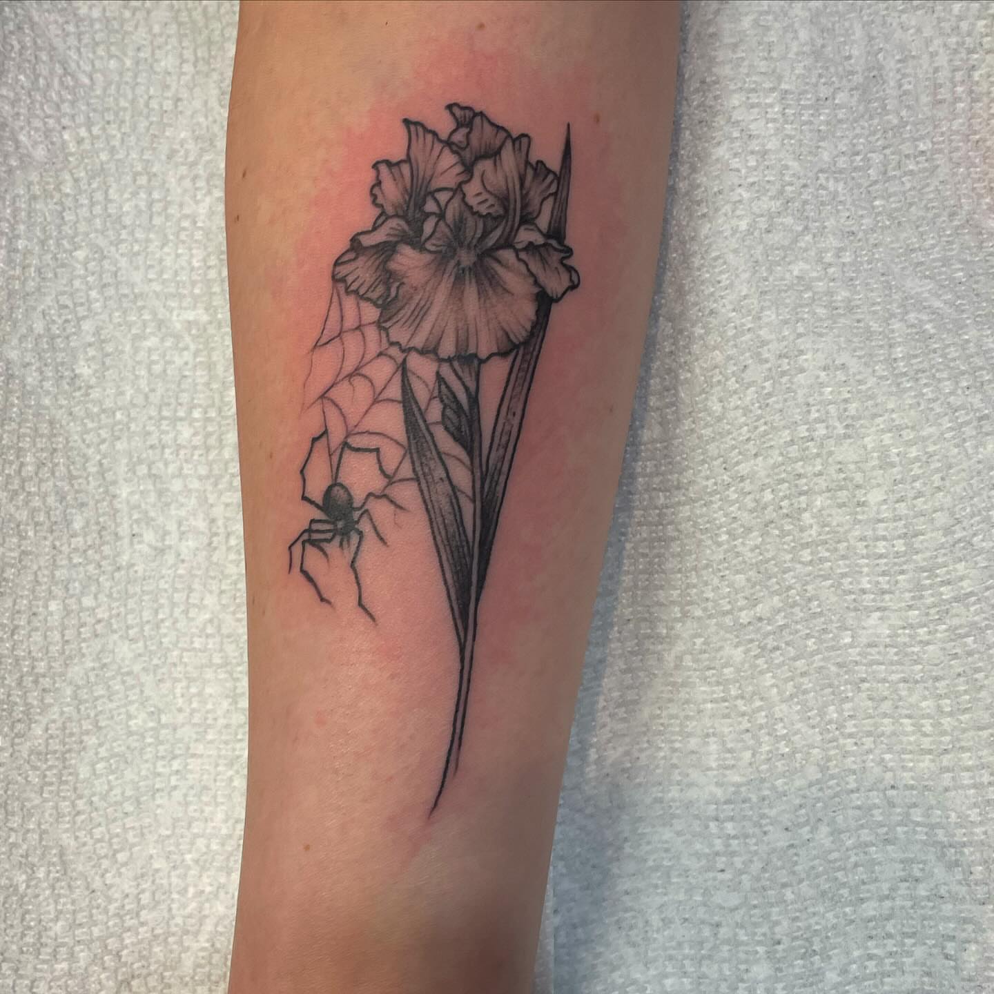 Iris and spider black and grey tattoo on the forearm by Kimberly Shordon