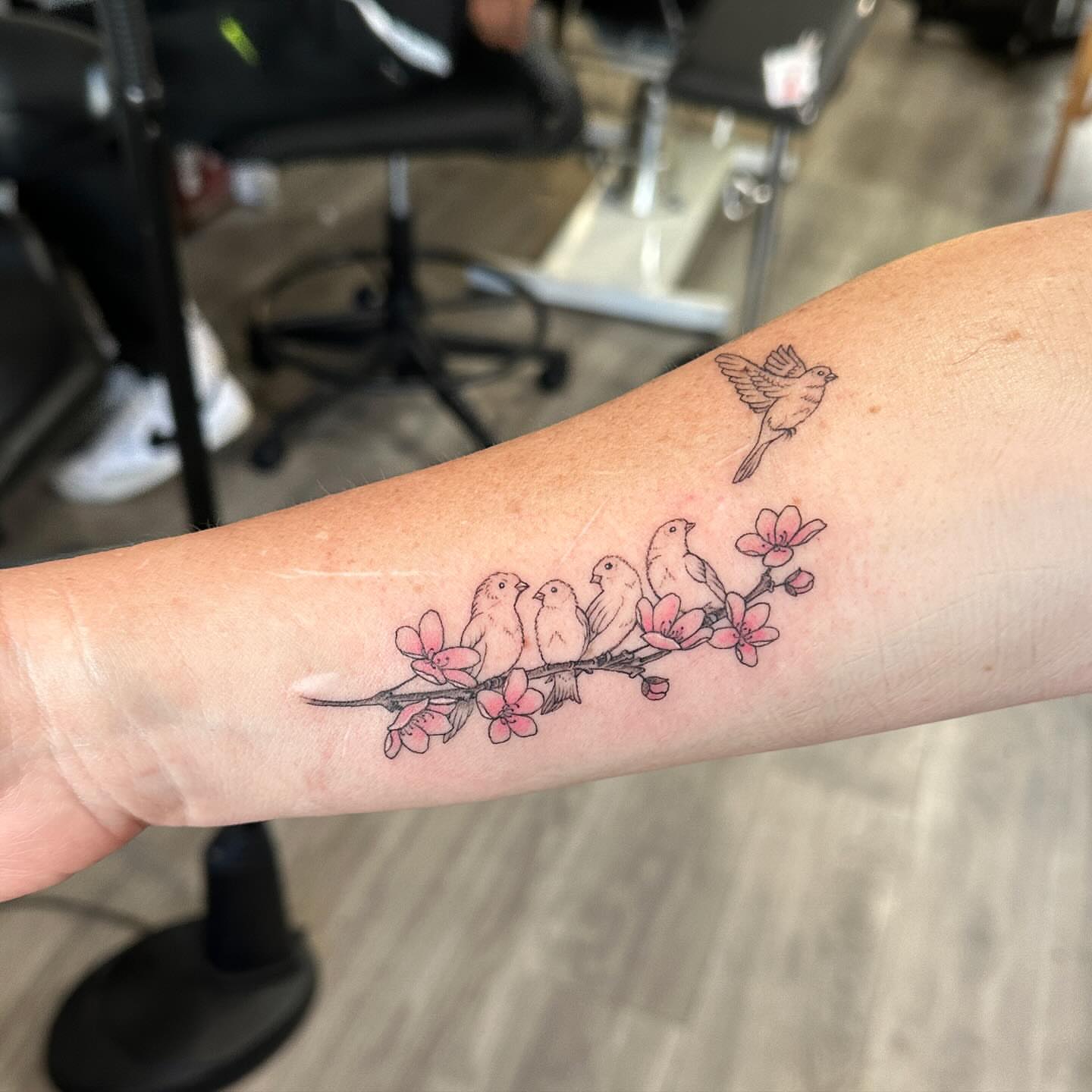 Bird and cherry blossoms neo-traditional tattoo on the forearm by Stephen Hansen