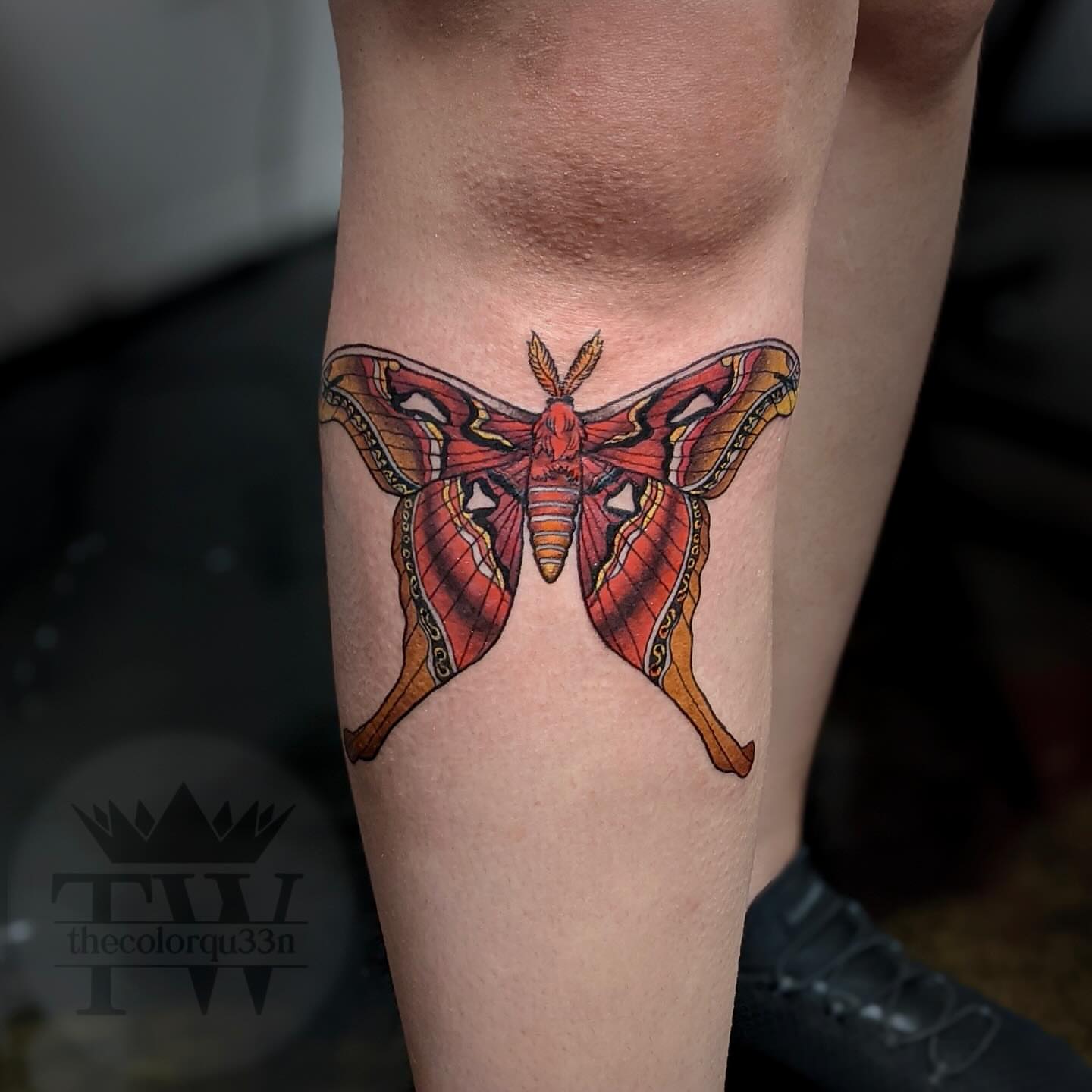 Moth geometric tattoo on the forearm by Taylor Tha Color Queen