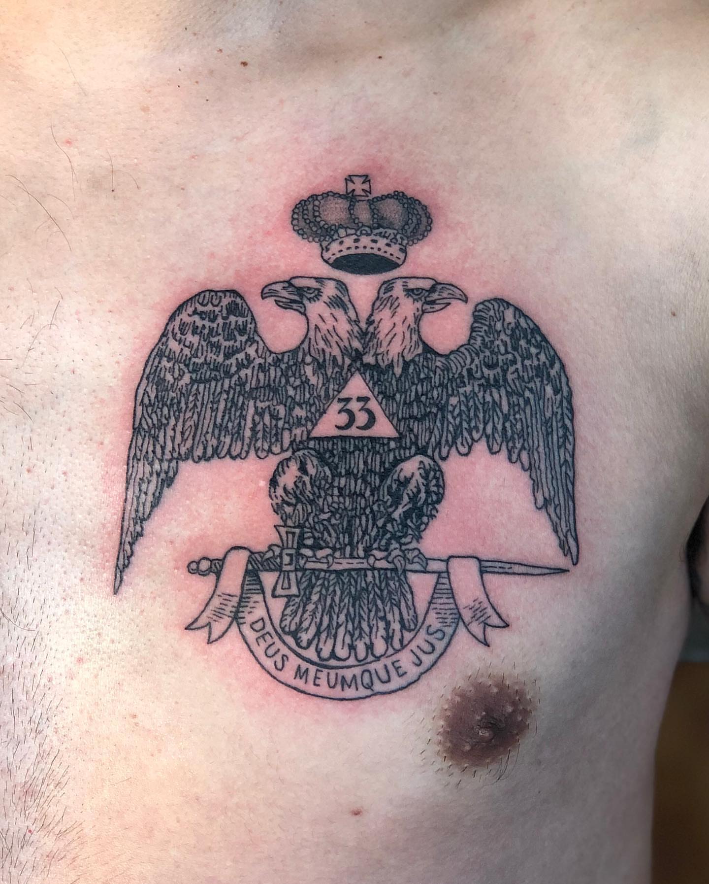 Double-headed eagle black and grey tattoo on the chest by Barro