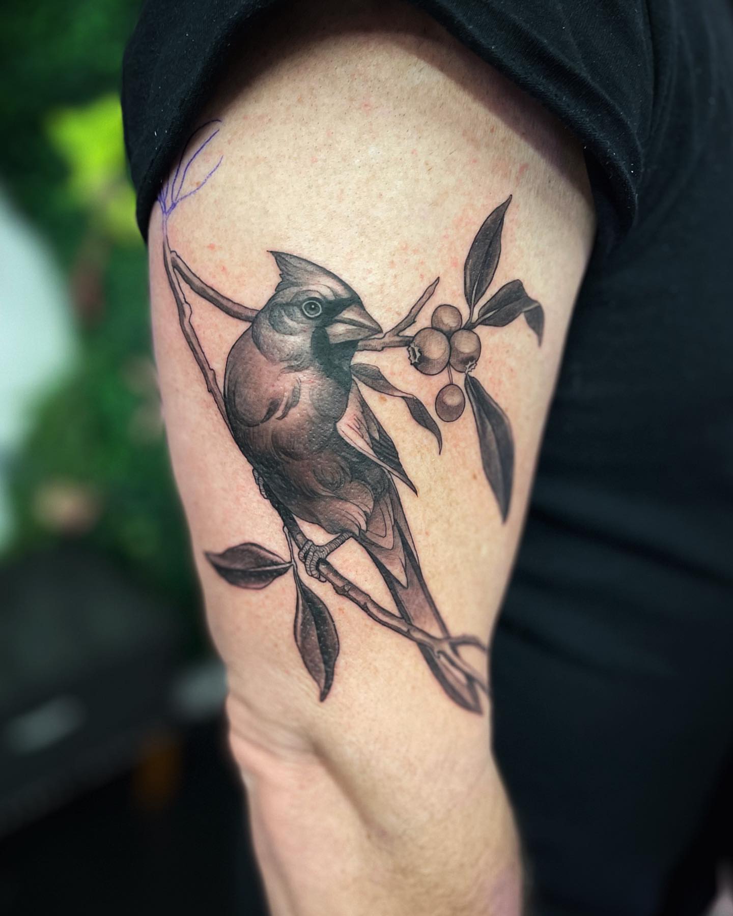 Tattoo by @rachelmillertattoos β realism