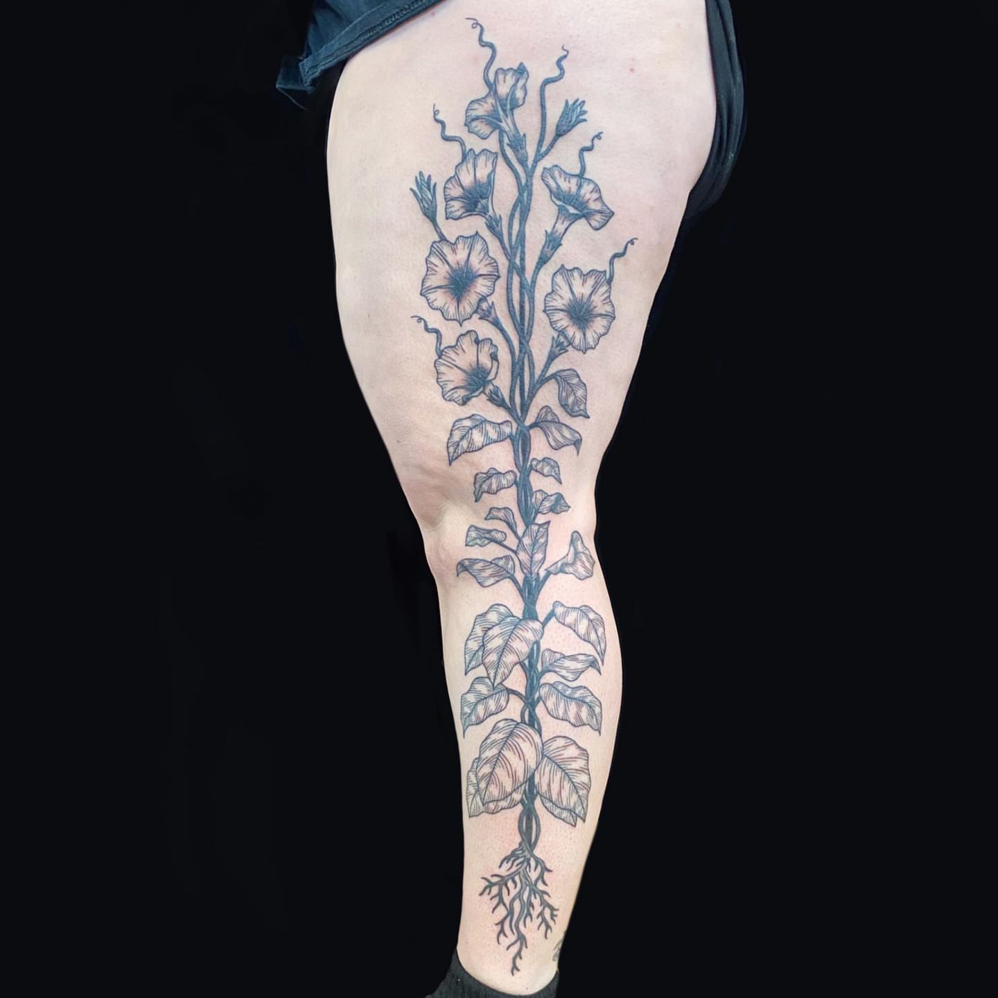 Flower vine black and grey tattoo on the thigh by Krista - Tattoo Artist