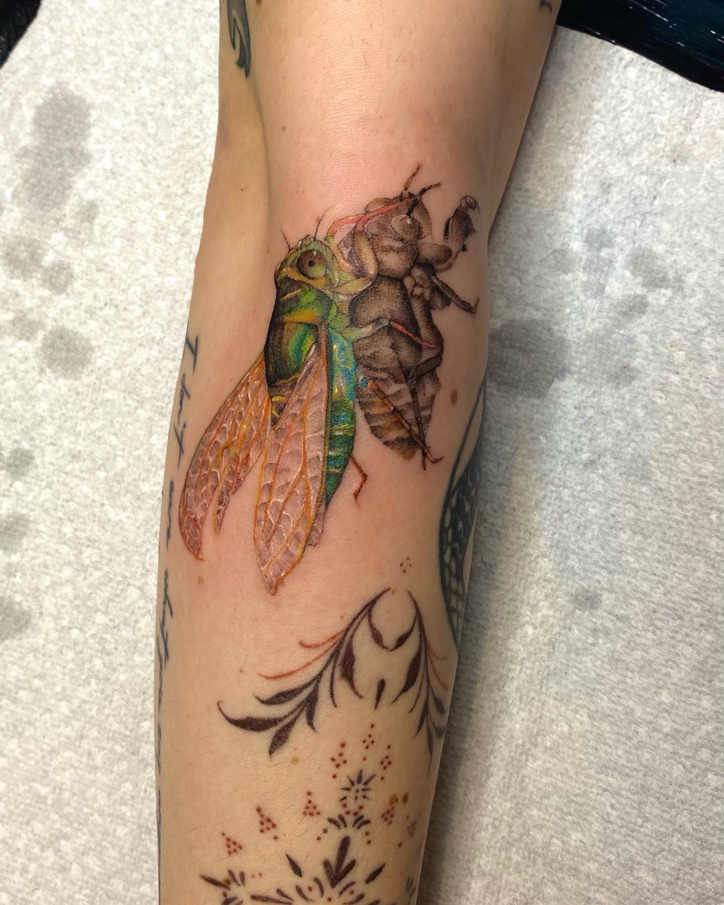 Tattoo by @l.sinatra__ — realism
