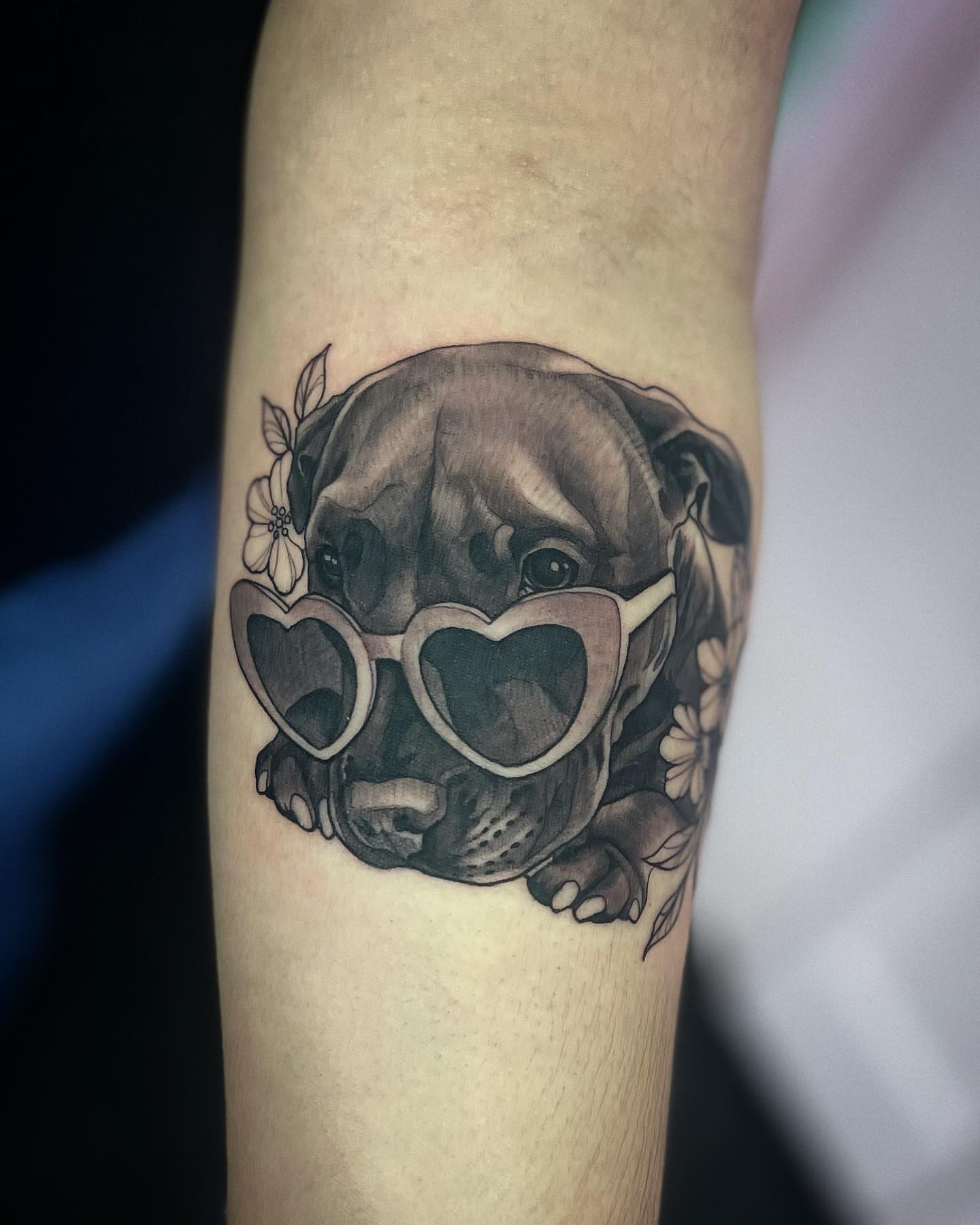 Bulldog wearing heart-shaped sunglasses realism tattoo on the forearm by π‘πΆπΈπ½ππ ππΎππππ