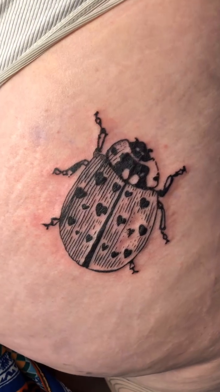 Ladybug fine line tattoo by πΈππππ¦π£ππΈ