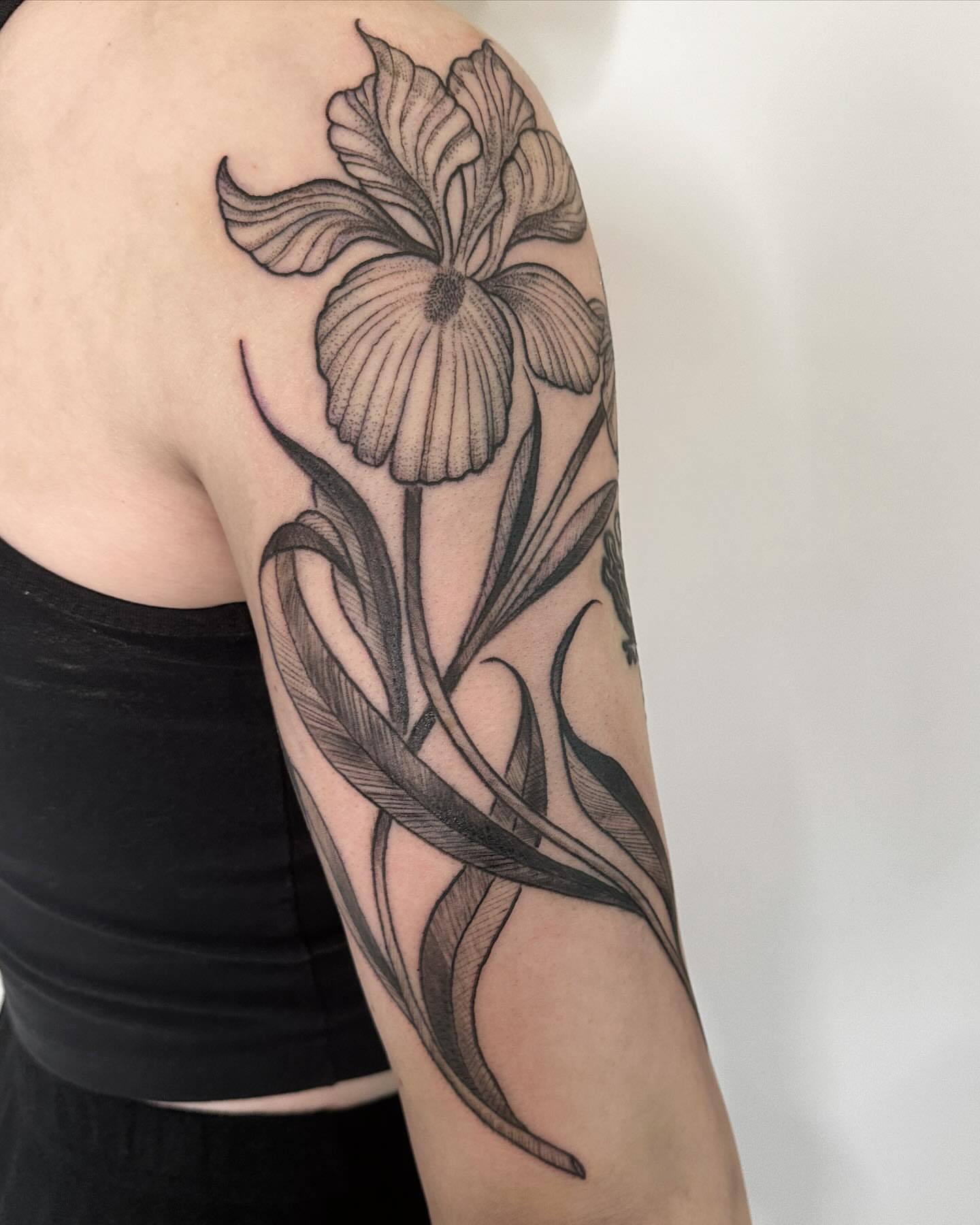Iris black and grey tattoo on the forearm by ๐ฌ๐๐๐๐๐๐ ๐ฟ๐๐๐๐๐๐, Dickson, Tennessee