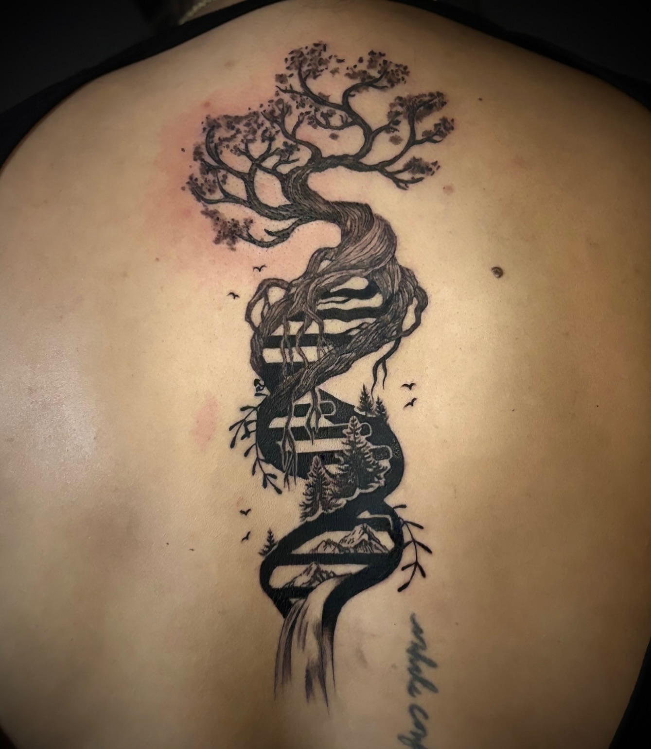 DNA tree realism tattoo on the back by Tattoos by Marcy