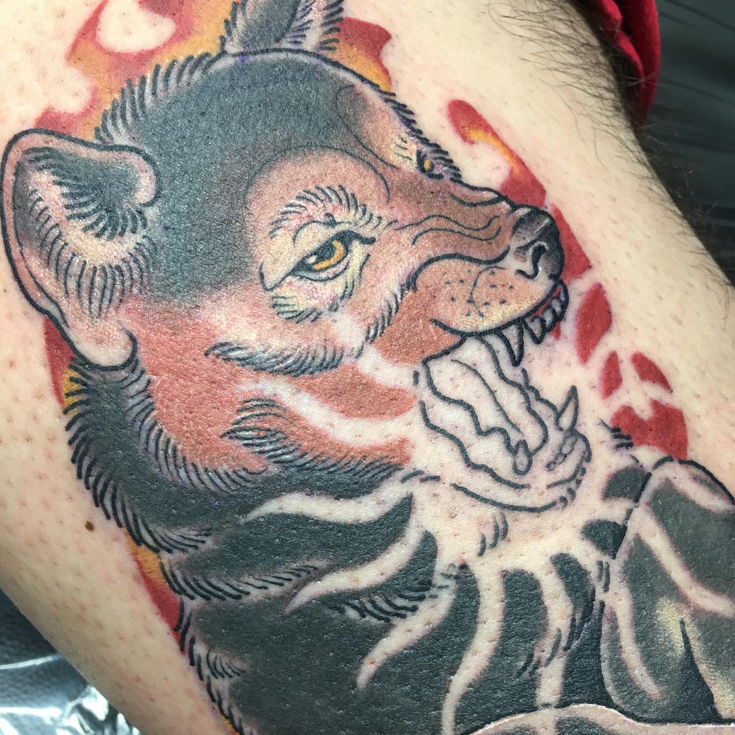 Wolf American traditional tattoo on the forearm by Abbey Martin, Nashville, Tennessee