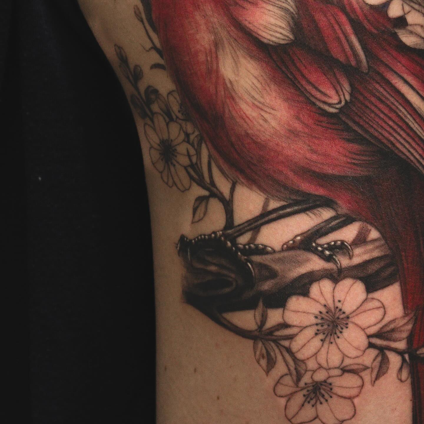 Bird and cherry blossoms realism tattoo on the forearm by James Hix - Tattoo Artist, Fort Worth, Texas