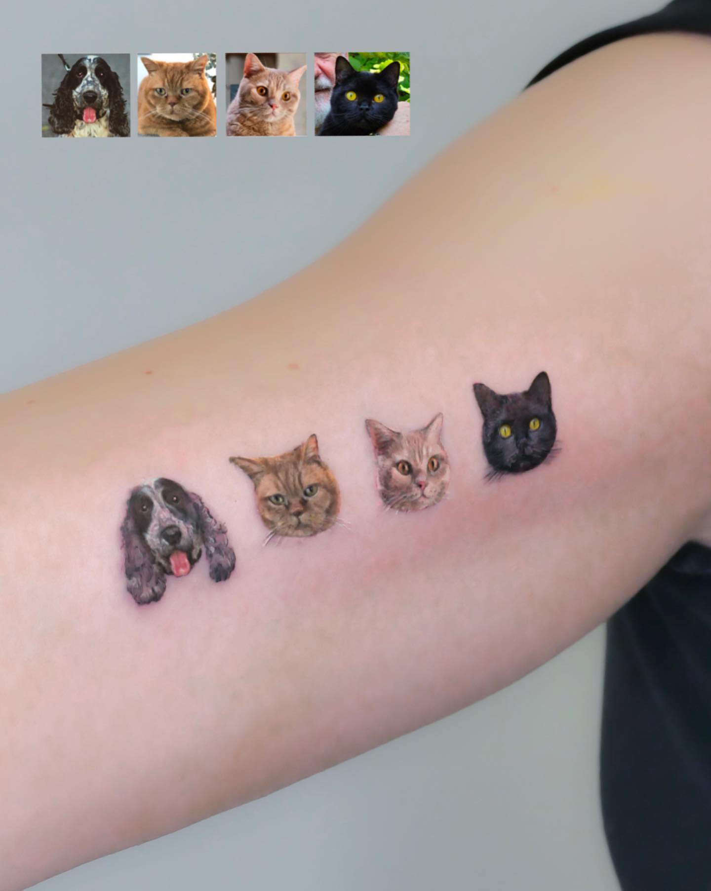 Tattoo by @misa_tat — realism