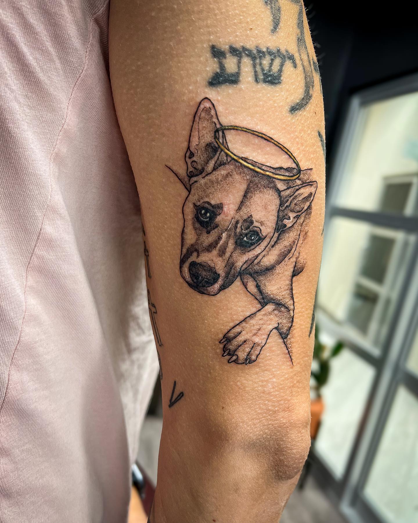 Dog with halo realism tattoo on the forearm by Reagan Sutton