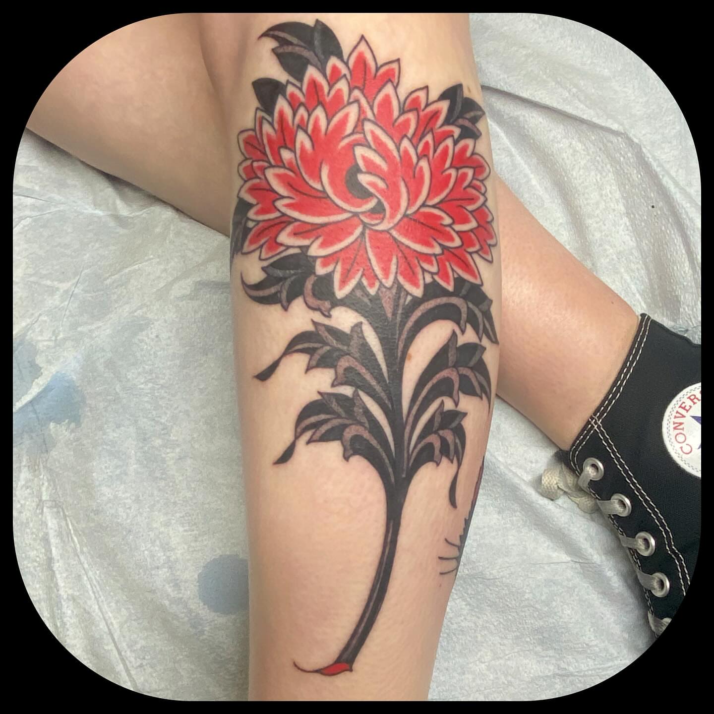 Chrysanthemum American traditional tattoo on the forearm by ๐ญ๐๐ ๐ฎ๐๐๐๐๐, Berkeley, California