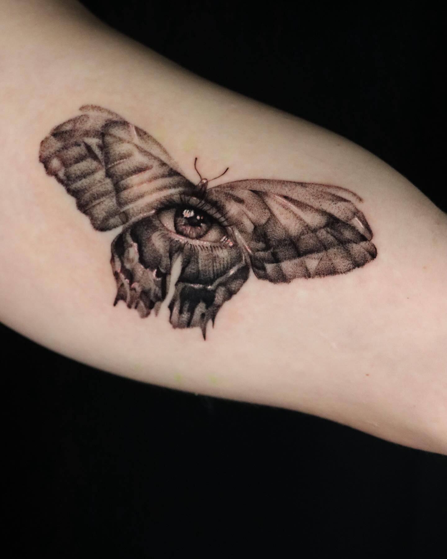 Eye moth dotwork tattoo on the forearm by Alex Suarez