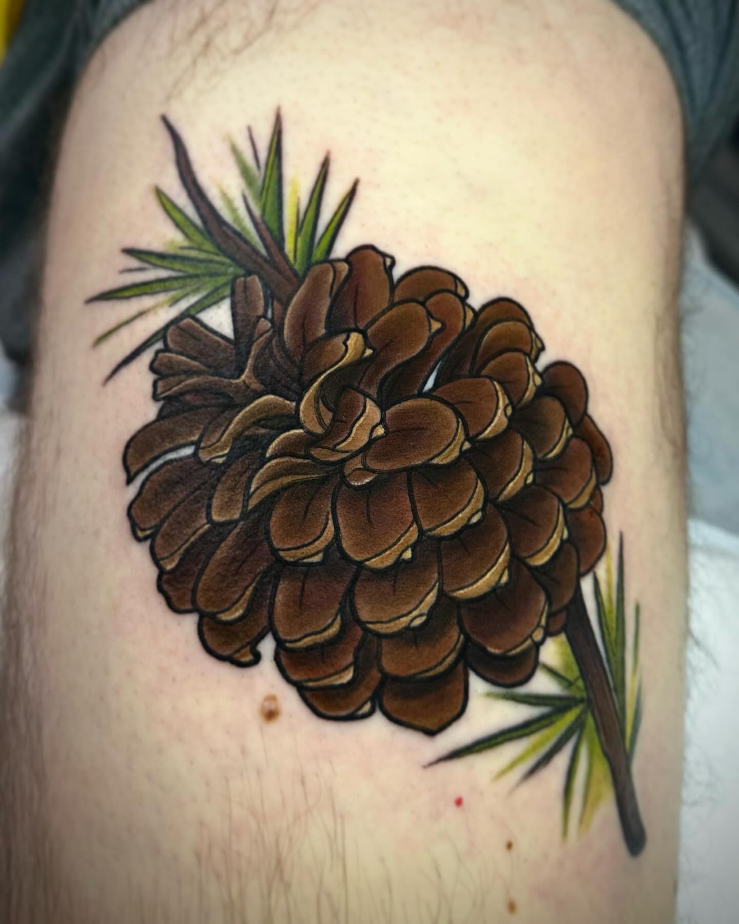Pine cone realism tattoo on the thigh by ✨Sarah Knapp✨, Eugene, Oregon