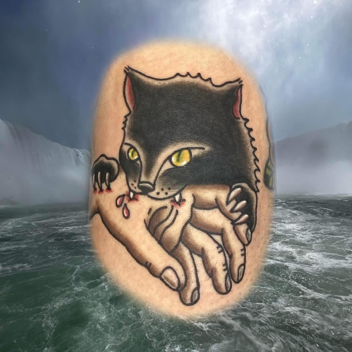 Cat American traditional tattoo on the forearm by Maddy ⁂, Murfreesboro, Tennessee