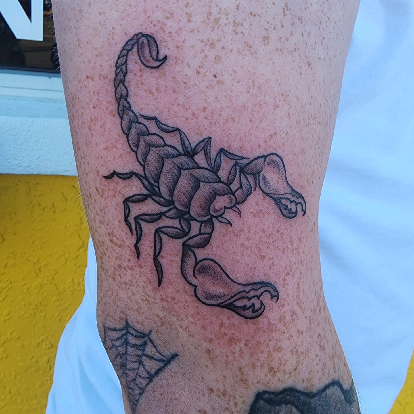 Scorpion dotwork tattoo on the forearm by ✨Vii Duquette✨
