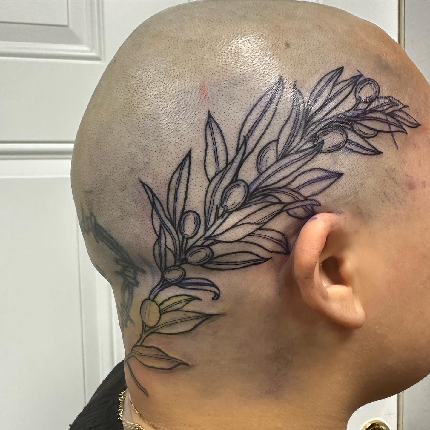 Olive branch black and grey tattoo on the head by 𝕵𝖊𝖘𝖘𝖆 𝕭𝖎𝖌𝖊𝖑𝖔𝖜, Harrison, New Jersey