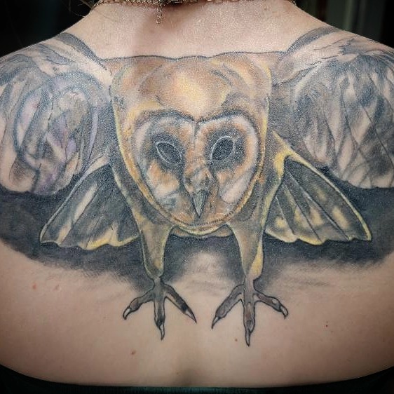 Owl realism tattoo on the back by Drew Siciliano, Glendale, Arizona
