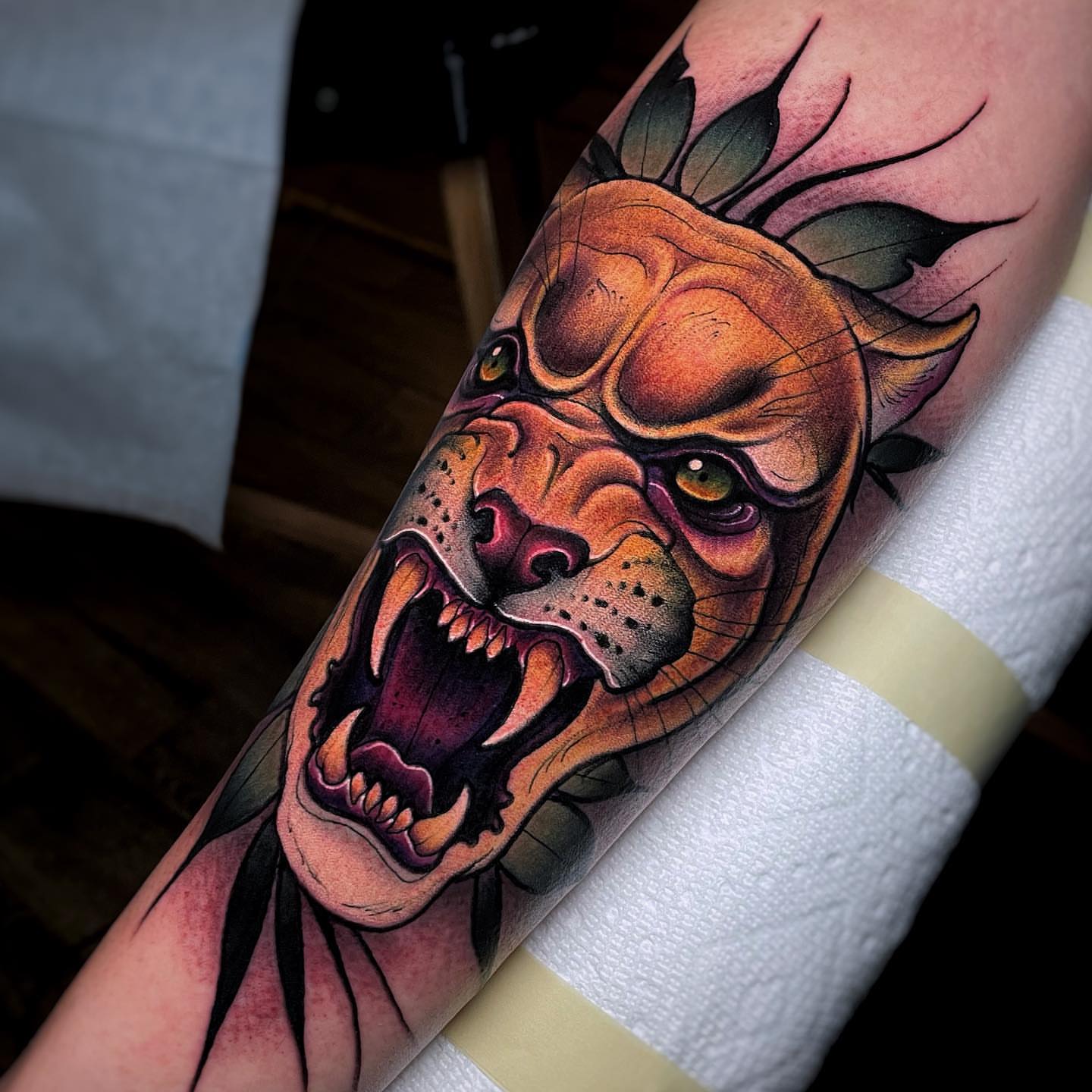 Roaring pit bull American traditional tattoo on the forearm by Ick Abrams