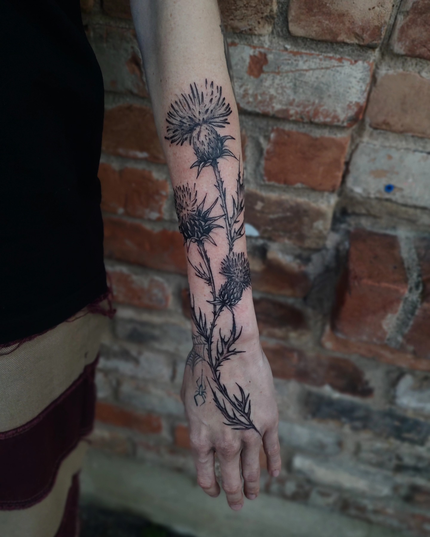 Thistle black and grey tattoo on the forearm by Madelynne