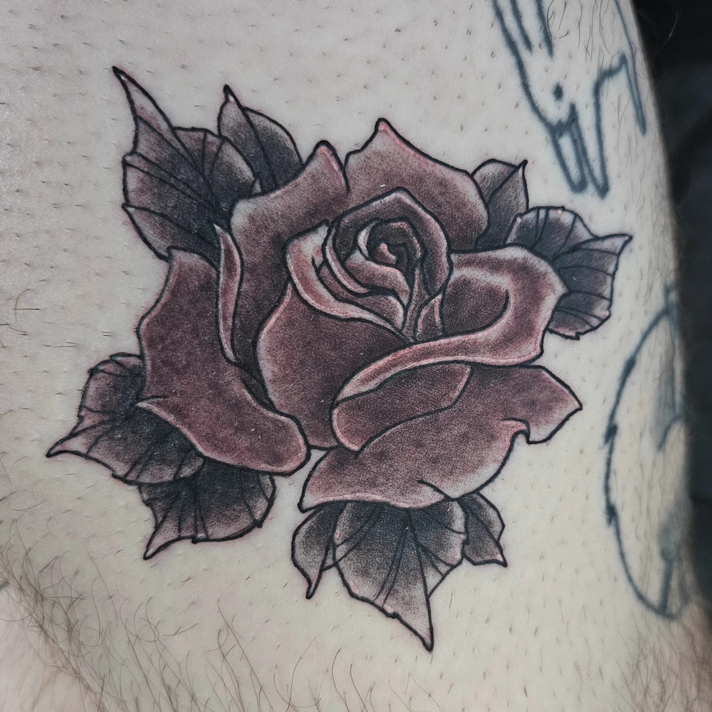 Rose black and grey tattoo on the thigh by J. Arturo Laparra