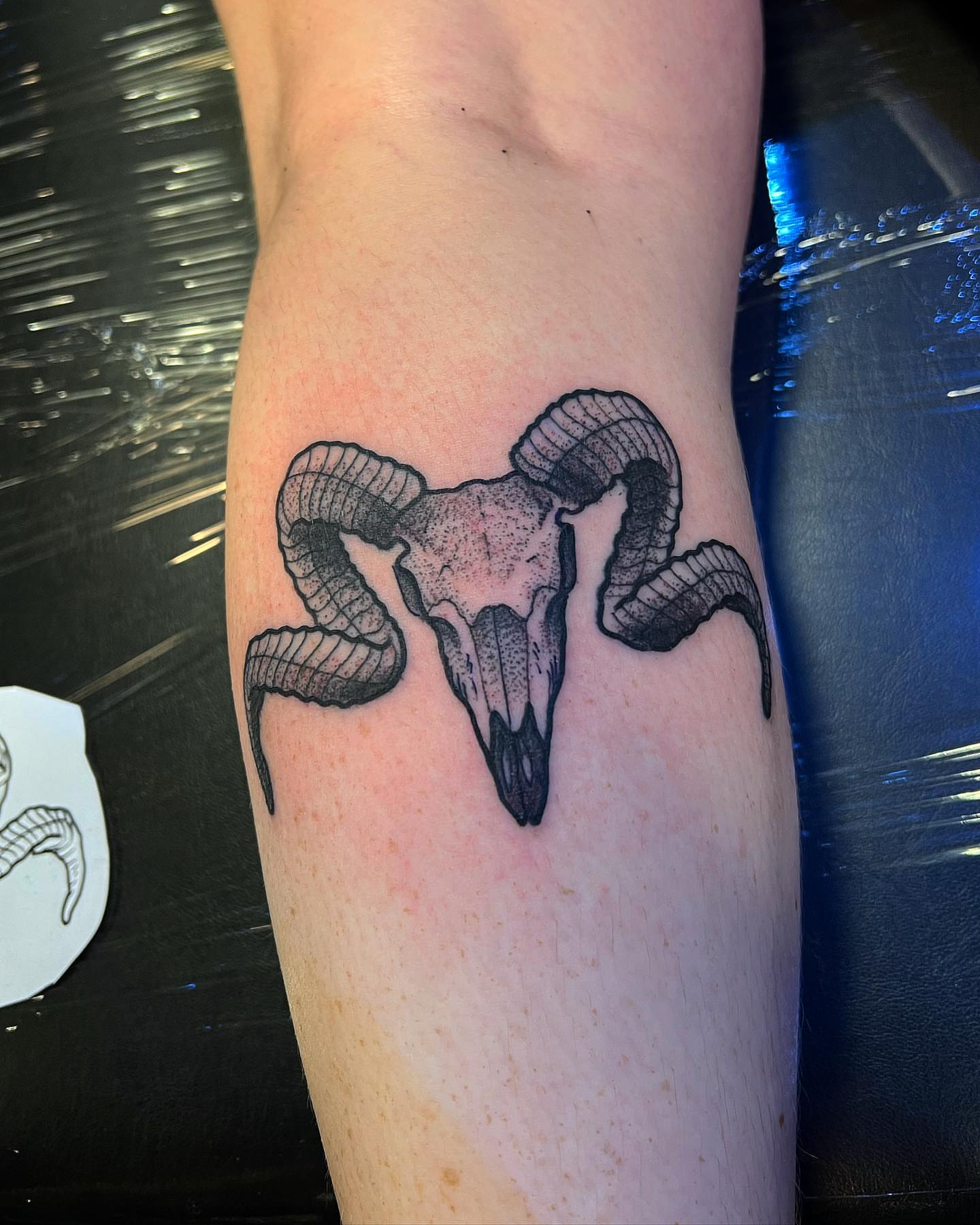 Ram skull black and grey tattoo on the forearm by Daniel Patrick