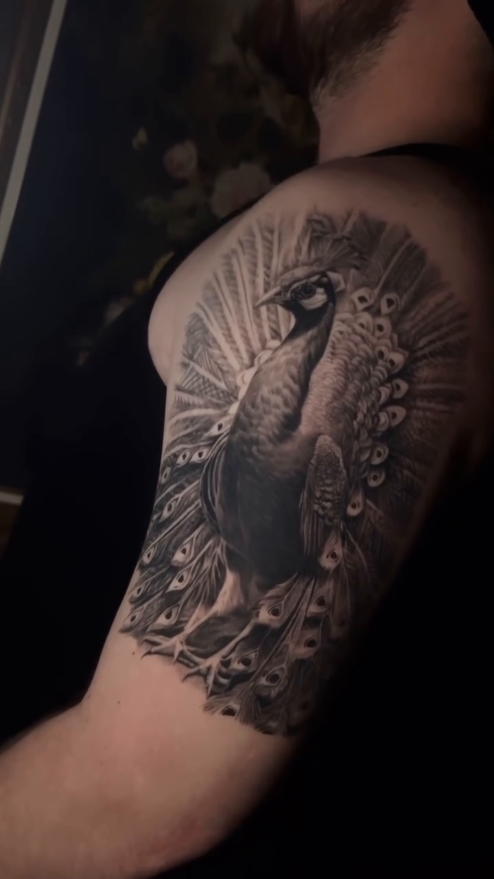 Peacock realism tattoo by Las Vegas Tattoo Artist