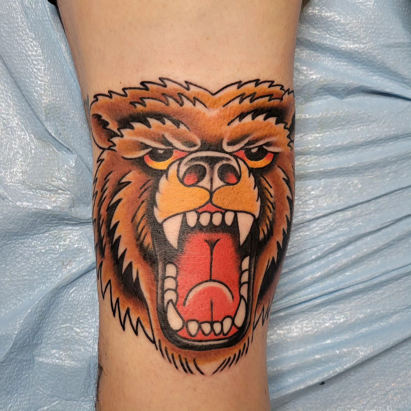 Angry bear American traditional tattoo on the forearm by Jared Green