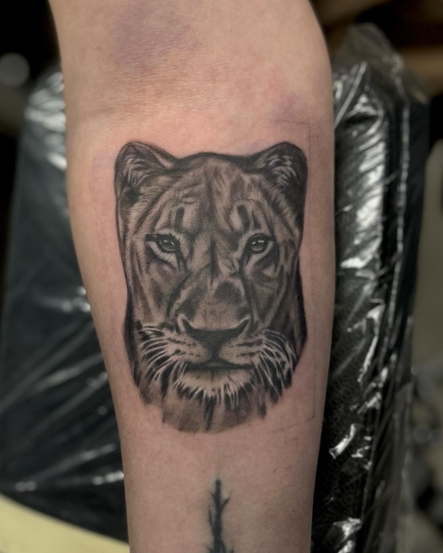 Tattoo by @deadgirltatting — realism