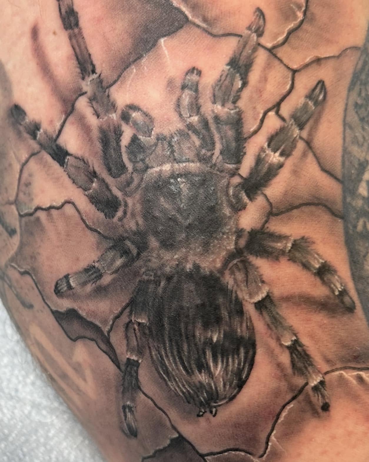 Tarantula realism tattoo on the forearm by Nathan Froehlich