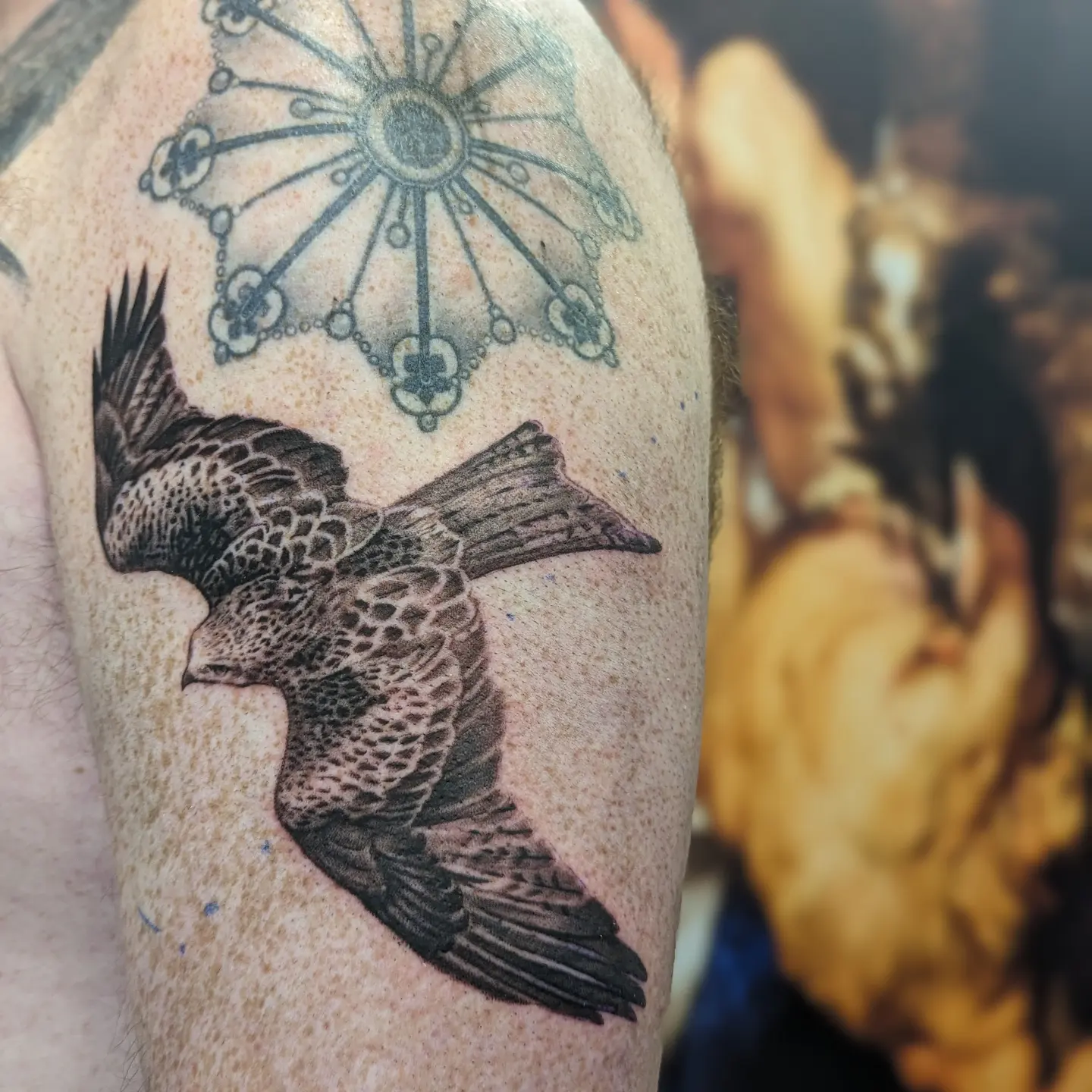 Flying bird realism tattoo on the forearm by Sean Costello