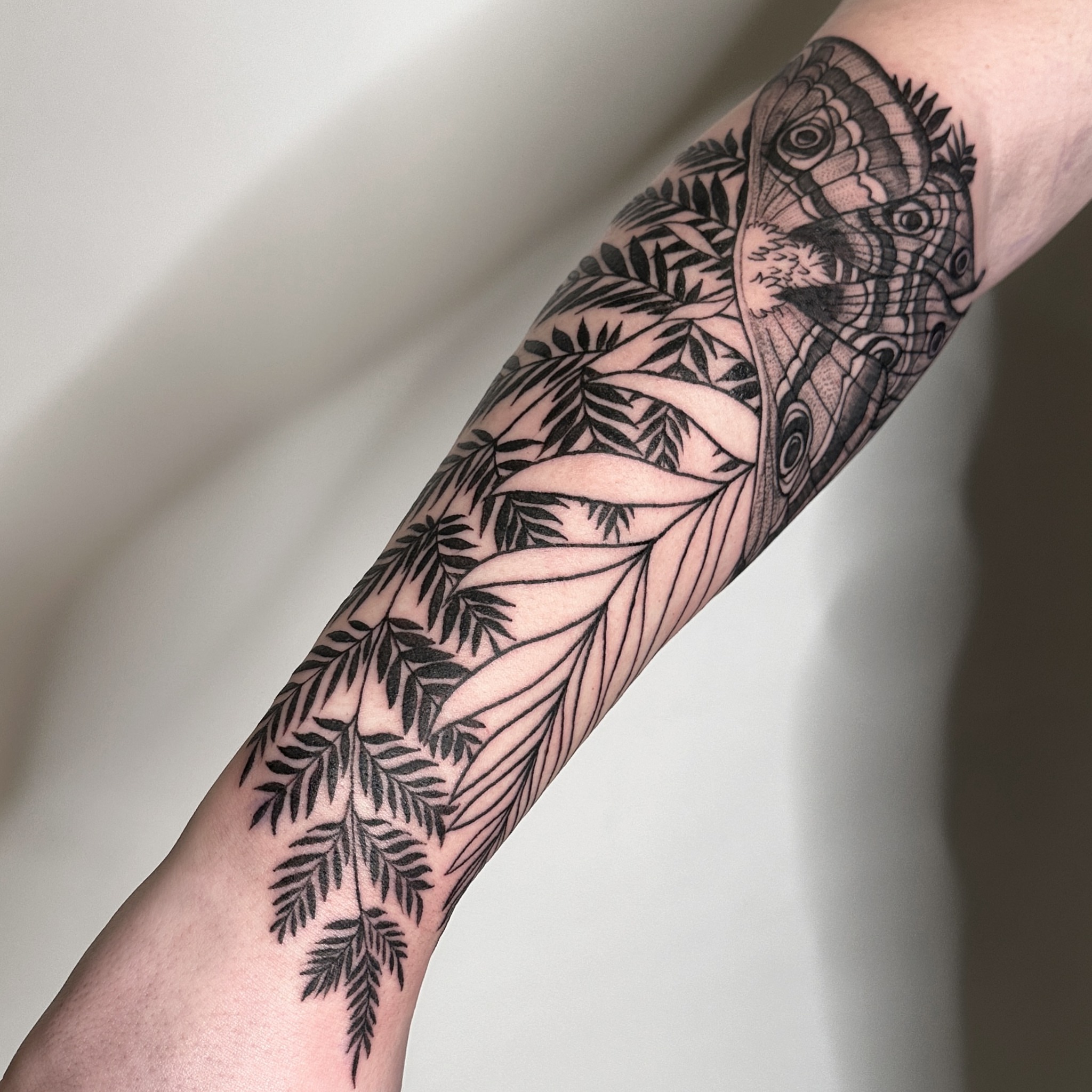 Butterfly and ferns geometric tattoo on the forearm by ๐ฌ๐๐๐๐๐๐ ๐ฟ๐๐๐๐๐๐, Dickson, Tennessee