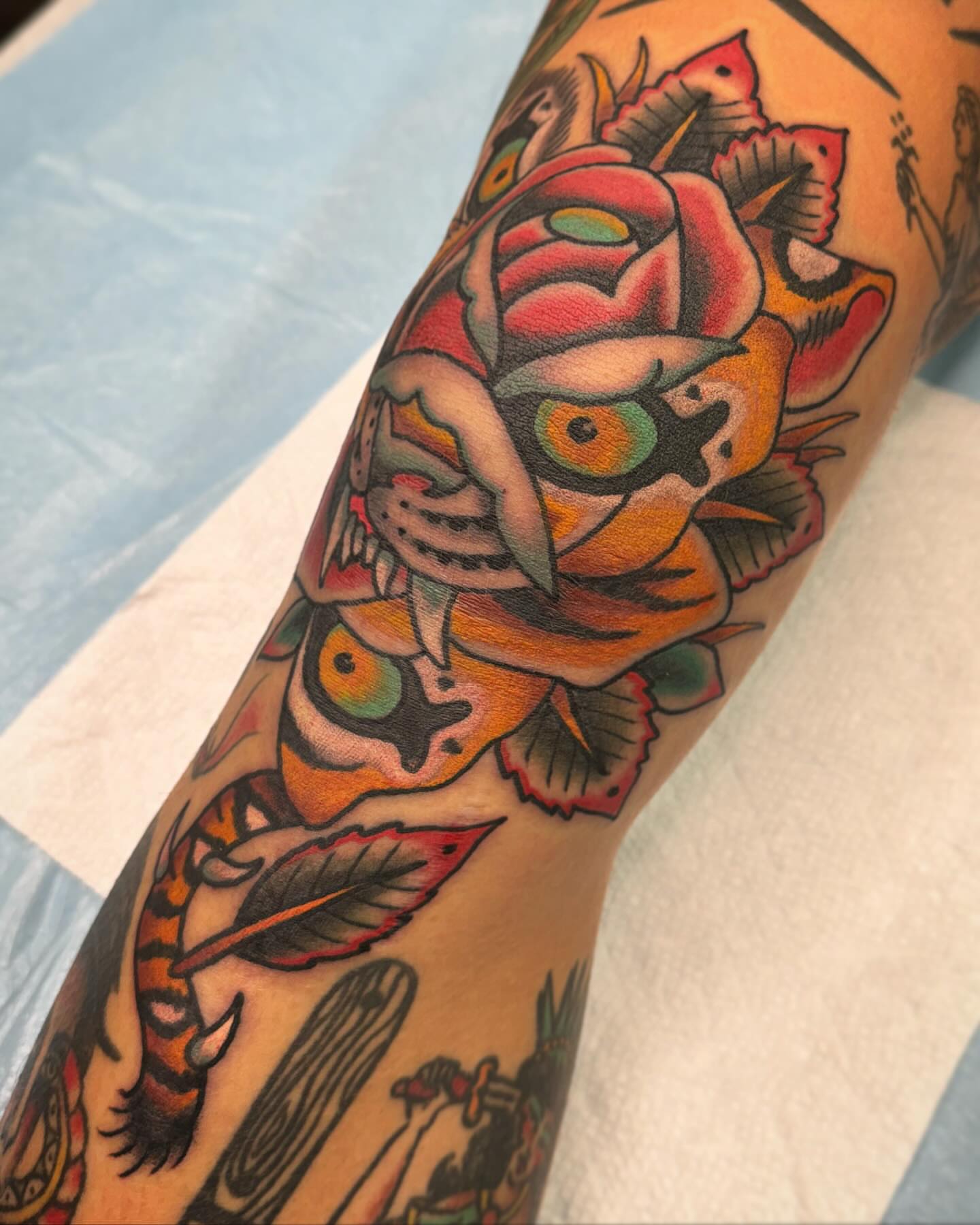 Tiger American traditional tattoo on the forearm by Drew McElveney, Austin, Texas