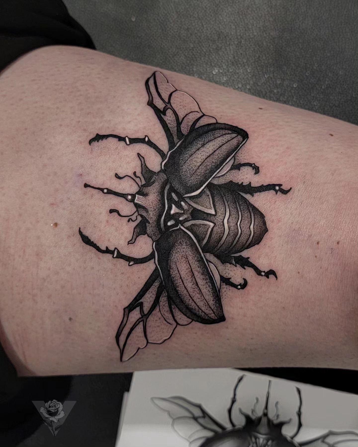 Stag beetle dotwork tattoo on the forearm by V πΊπ¦