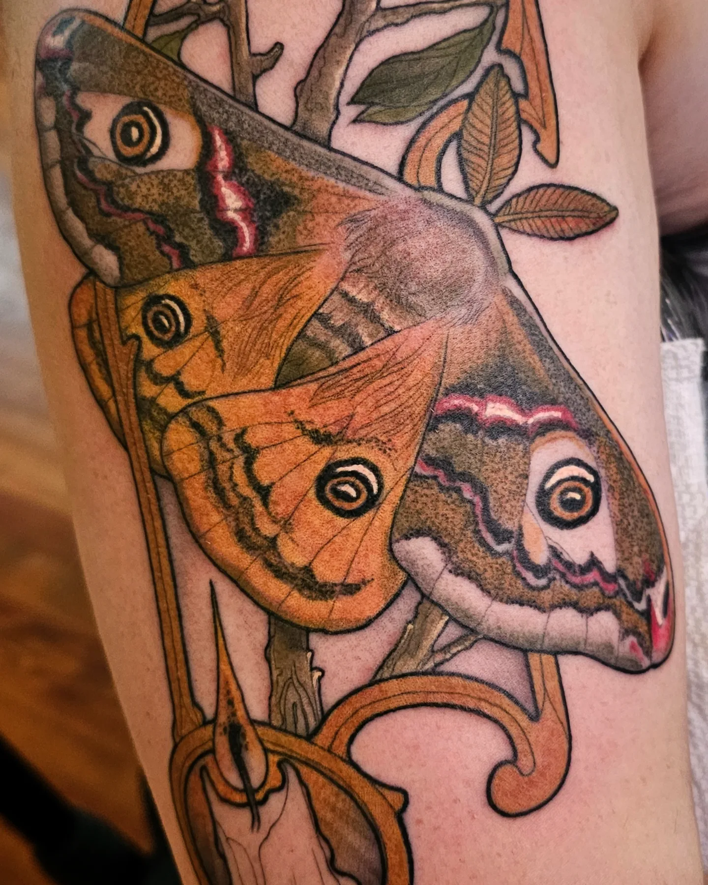 Moths realism tattoo on the forearm by Robert Kraiza - Philadelphia Tattoo Artist