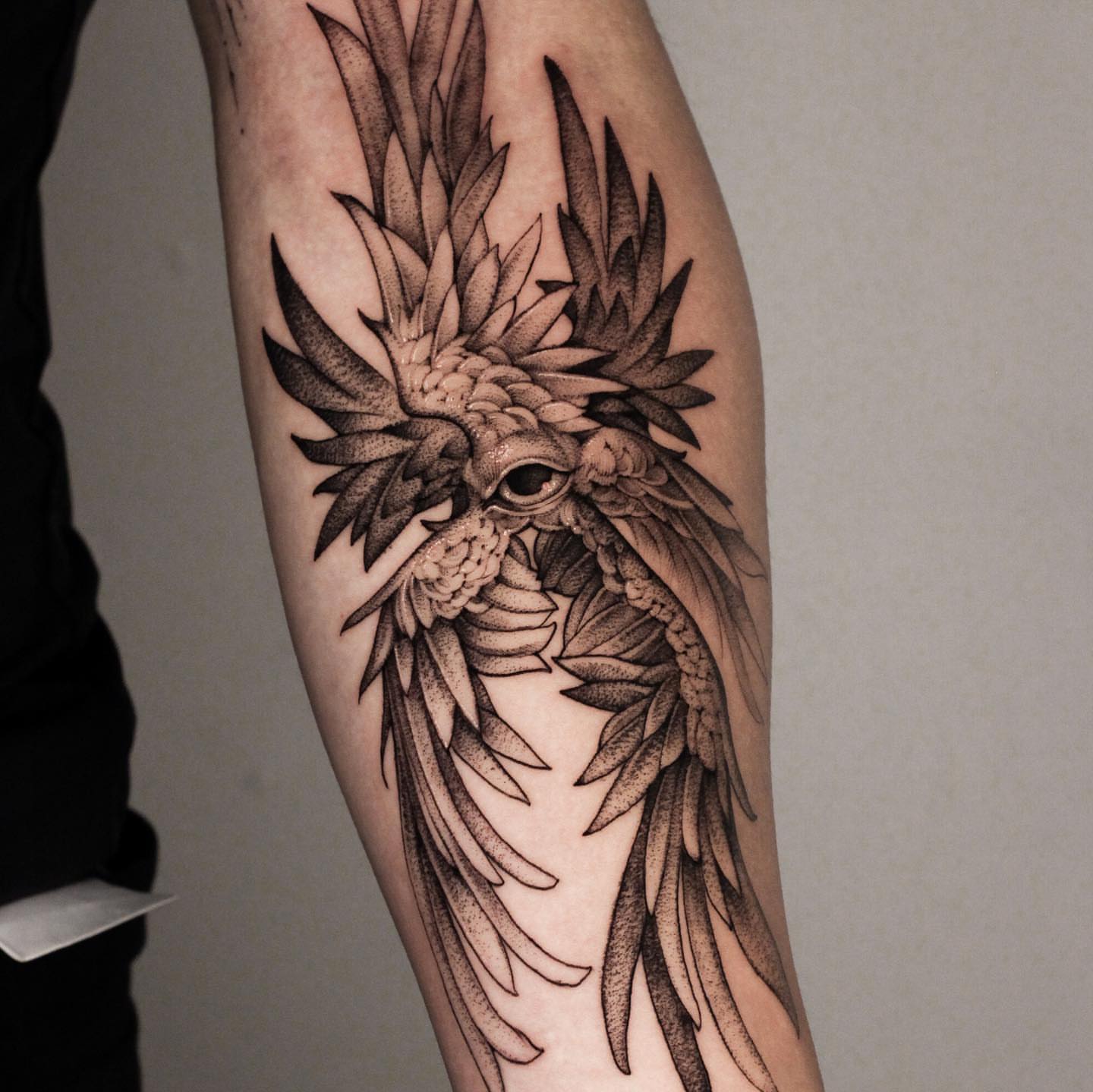 Parrot dotwork tattoo on the forearm by 우레
