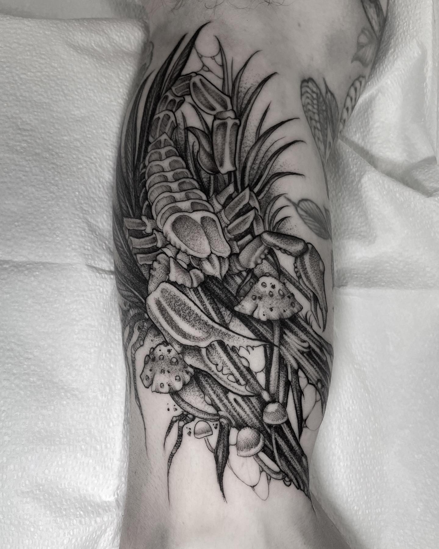 Tattoo by @sofiarosetattoos — dotwork, realism