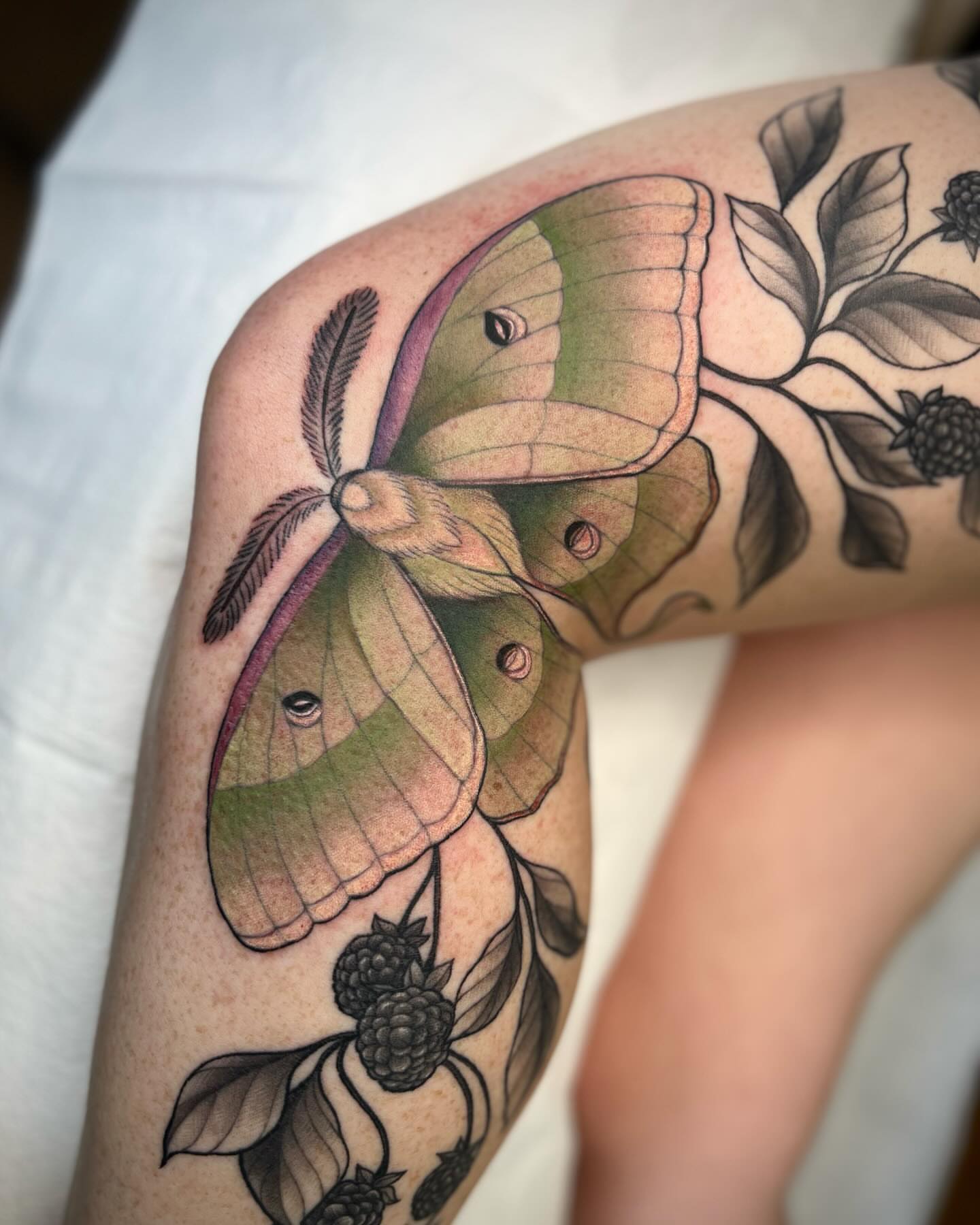 Moon moth realism tattoo on the thigh by Mia Manzanedo