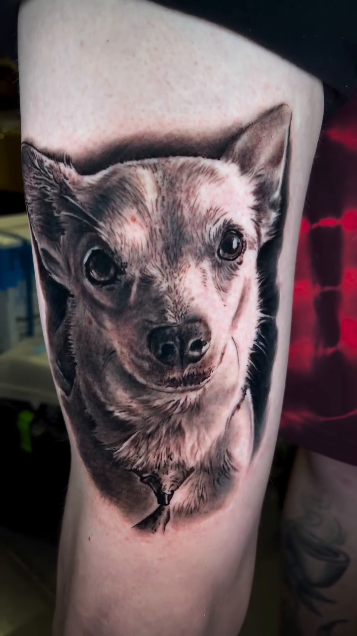Dog portrait realism tattoo by ππ―ππ³π¦π° πππͺπ¬π«π±