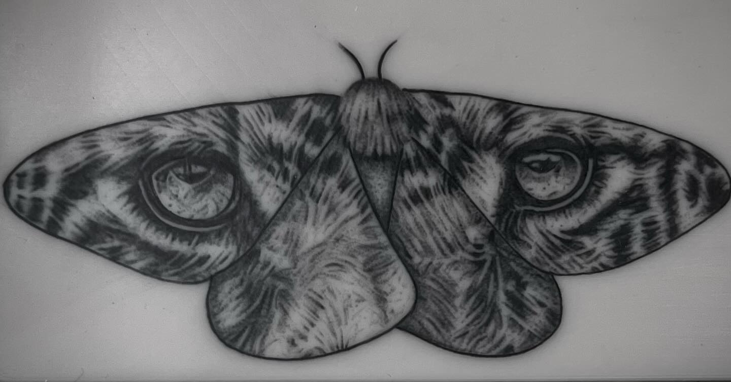 Moth realism tattoo by Lee Ranco