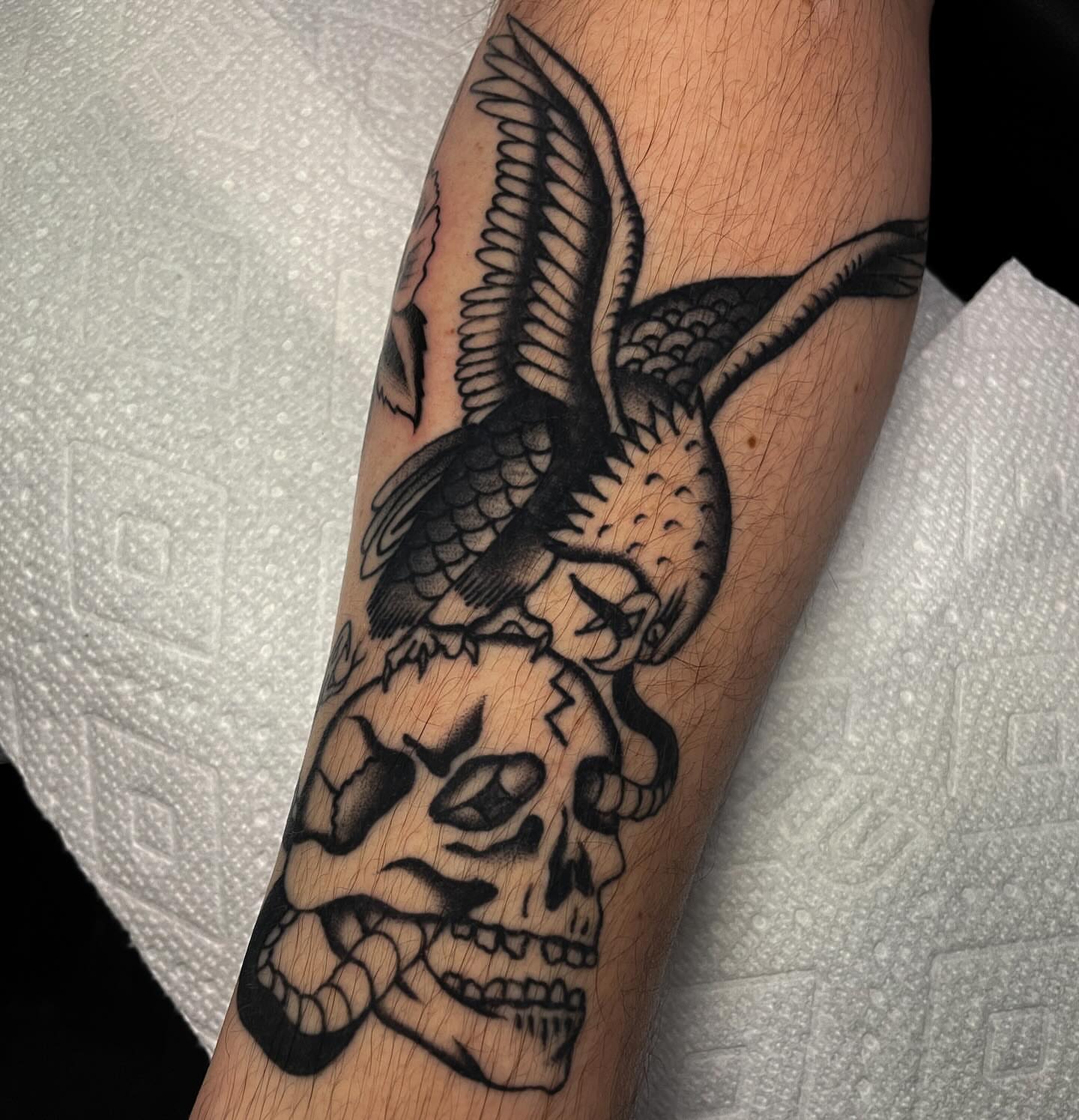 Skull and eagle American traditional tattoo on the forearm by Toulouse Noble, Portland, Oregon