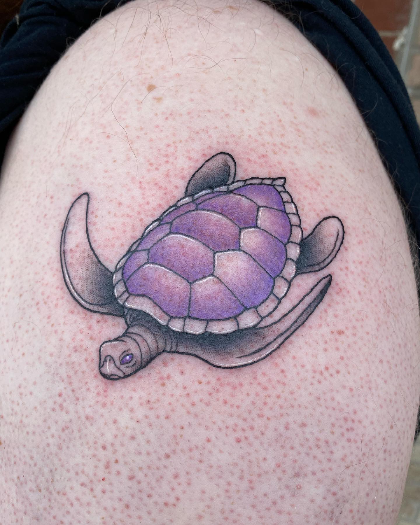 Turtle dotwork tattoo on the shoulder by Savanna Starr Mortensen