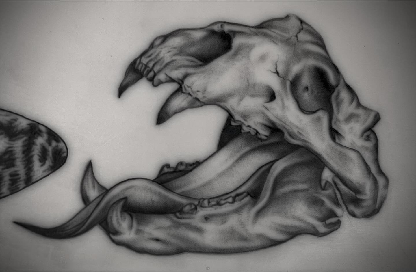 Octopus realism tattoo by Lee Ranco