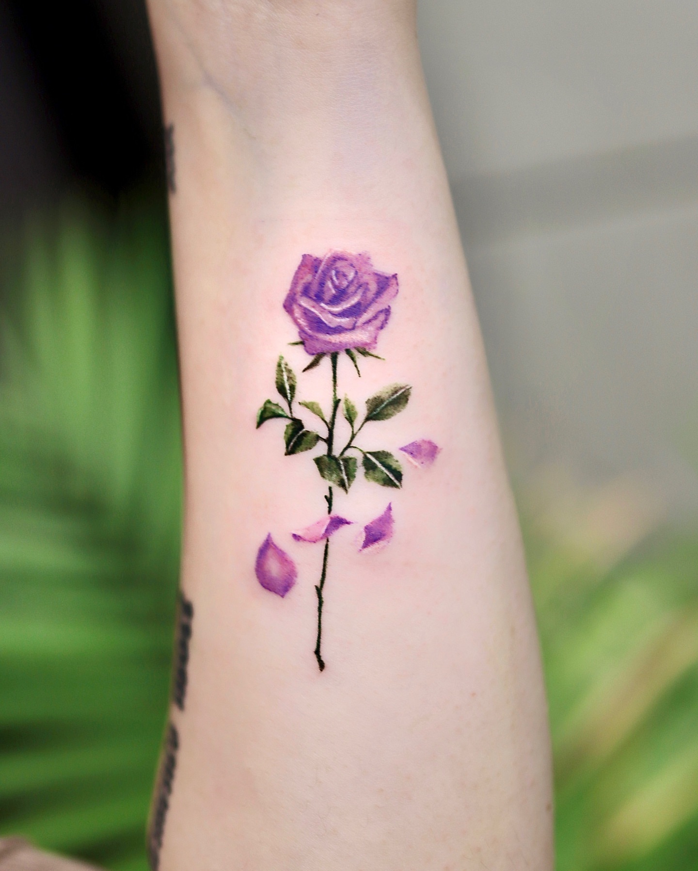 Tattoo by @inkw.han — watercolor