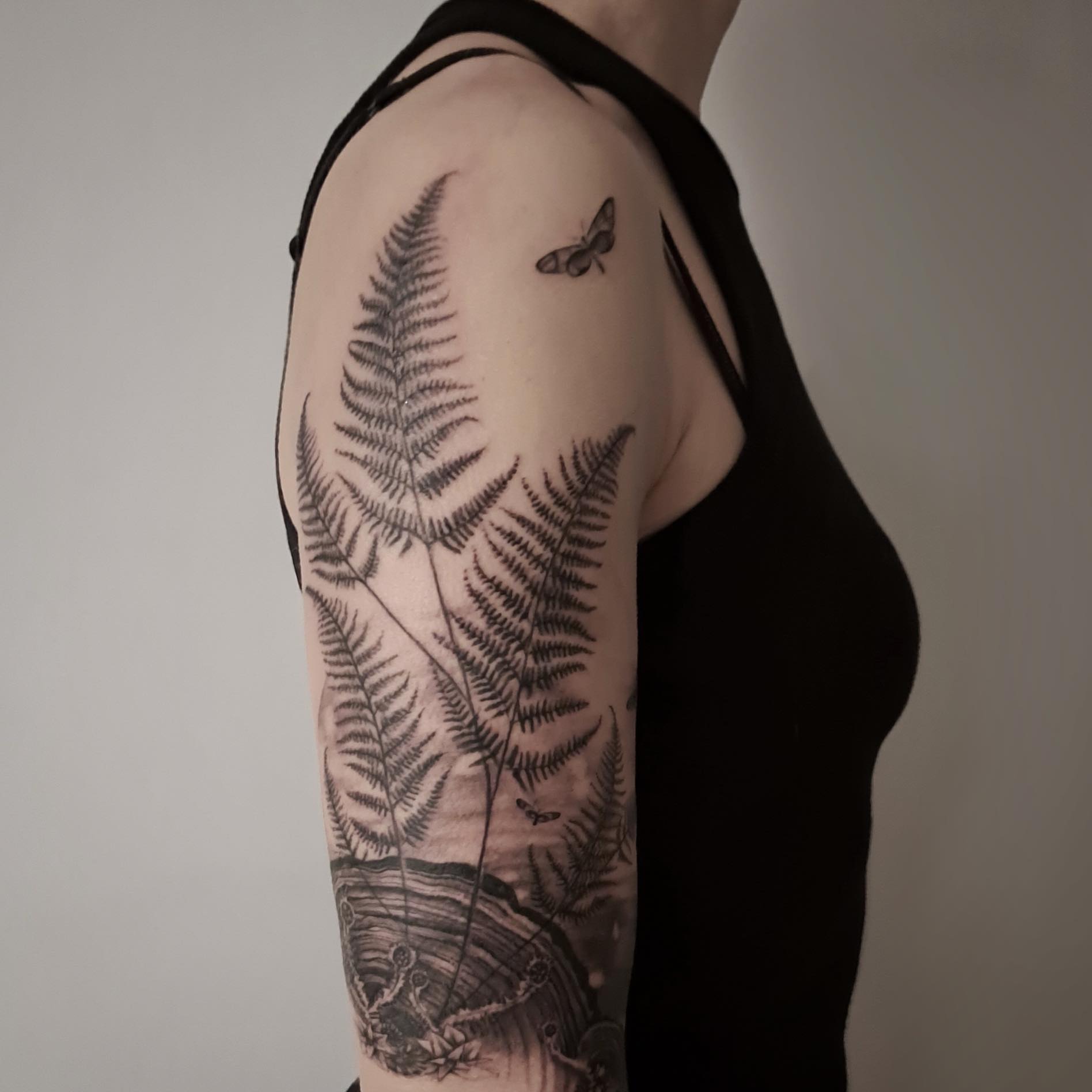 Fern and butterfly realism tattoo on the forearm by Lindsay