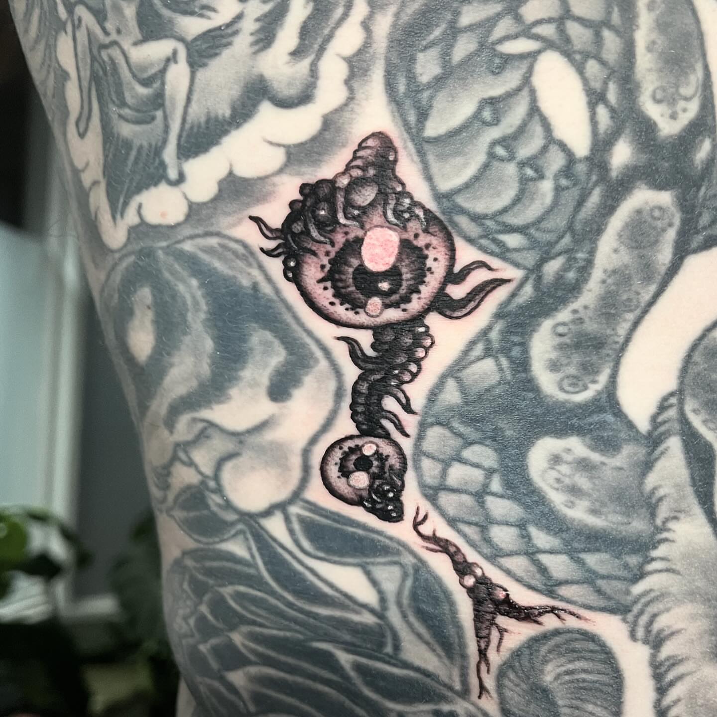 Serpent black and grey tattoo on the upper arm by Matt E.