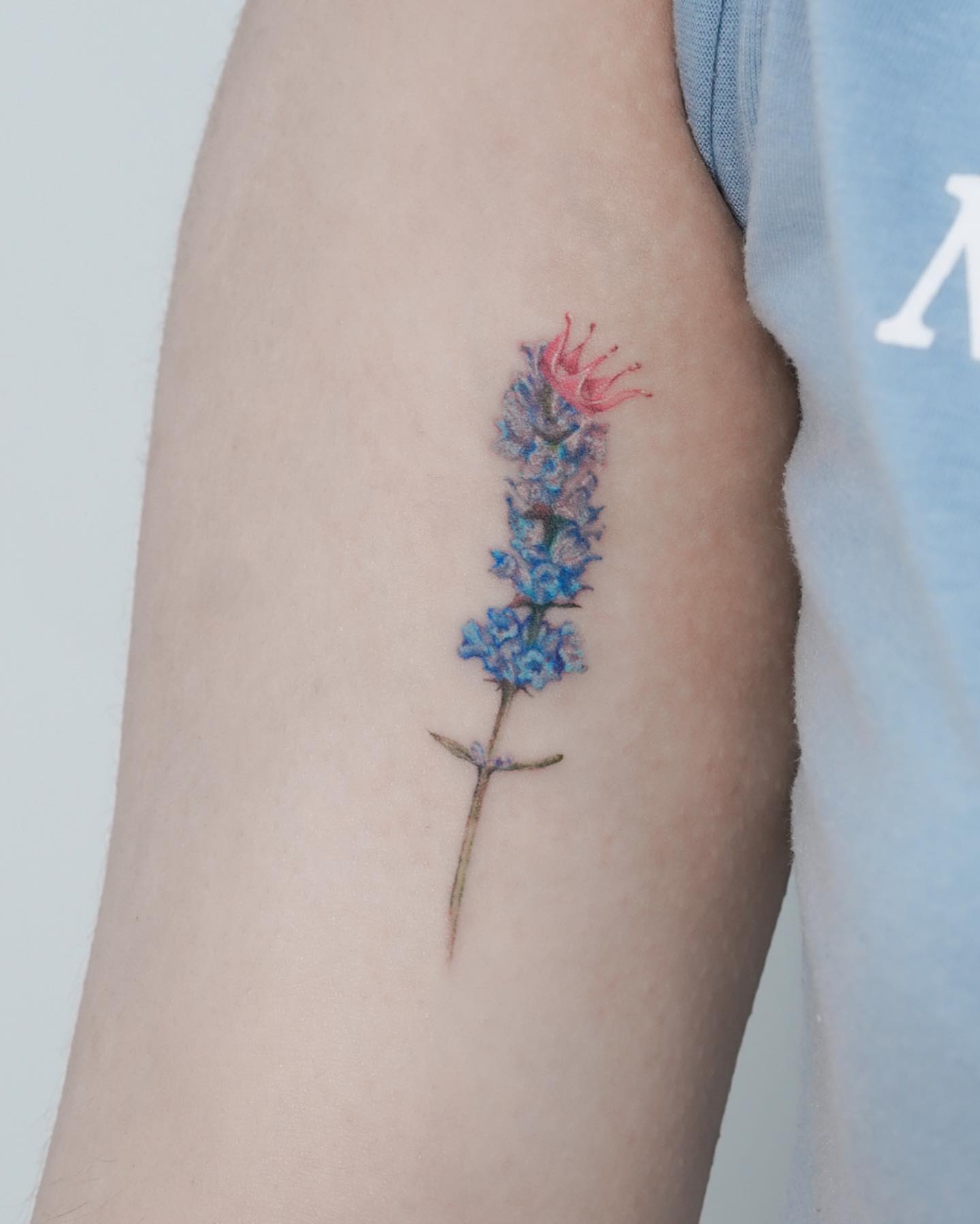 Tattoo by @misa_tat — realism