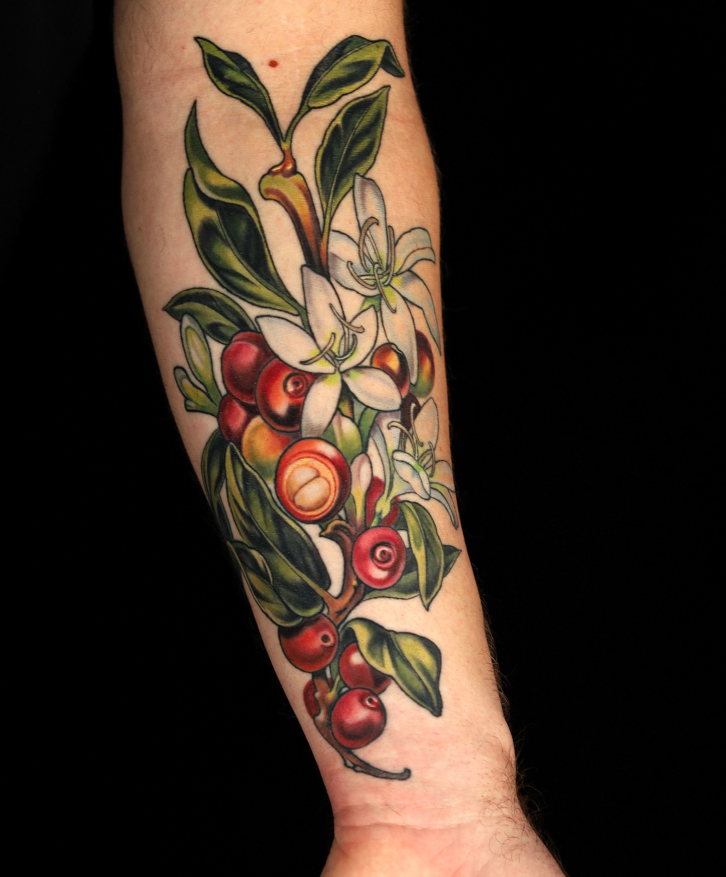 Tattoo by @jordantattoo — american_traditional